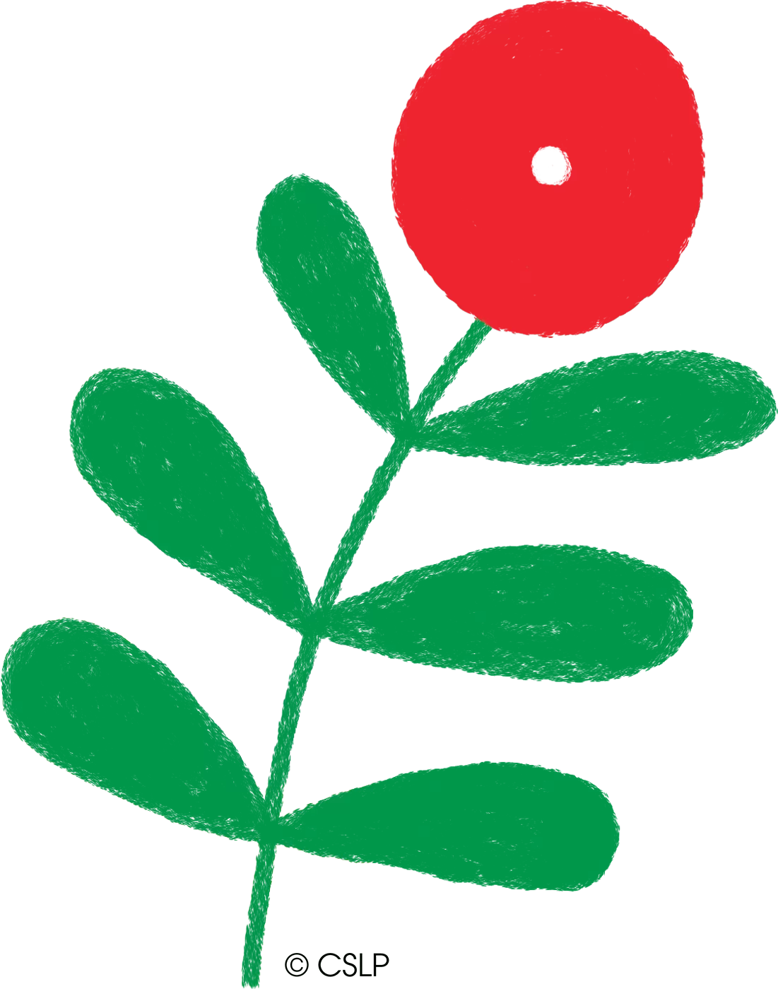 CSLP_2025_Flower_1 CSLP_2025_Flower_1